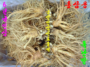 6년근인삼 특난발(6-7뿌리) 750g 1채