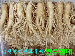 원수삼 대 750g 1채 (8-9뿌리)