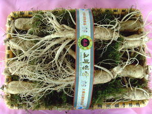 왕대 5뿌리 2채 인삼선물세트